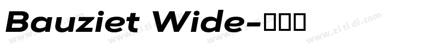 Bauziet Wide字体转换